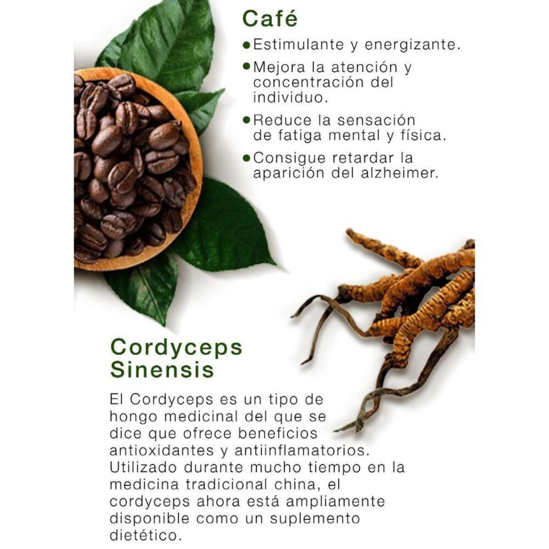 Cordyceps Coffee - 3
